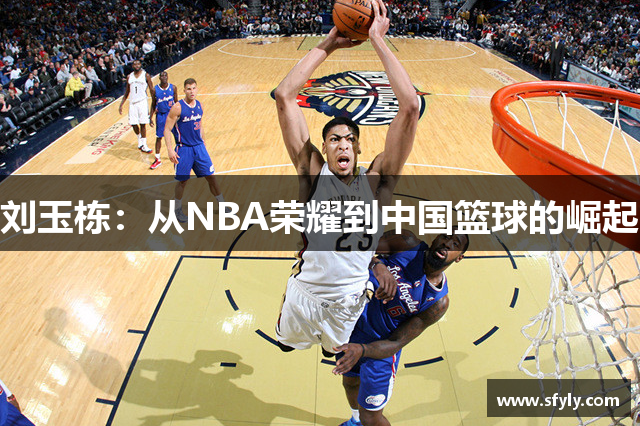 刘玉栋：从NBA荣耀到中国篮球的崛起