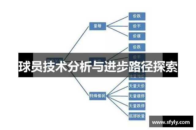 球员技术分析与进步路径探索