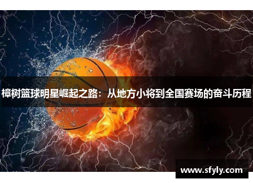 樟树篮球明星崛起之路：从地方小将到全国赛场的奋斗历程